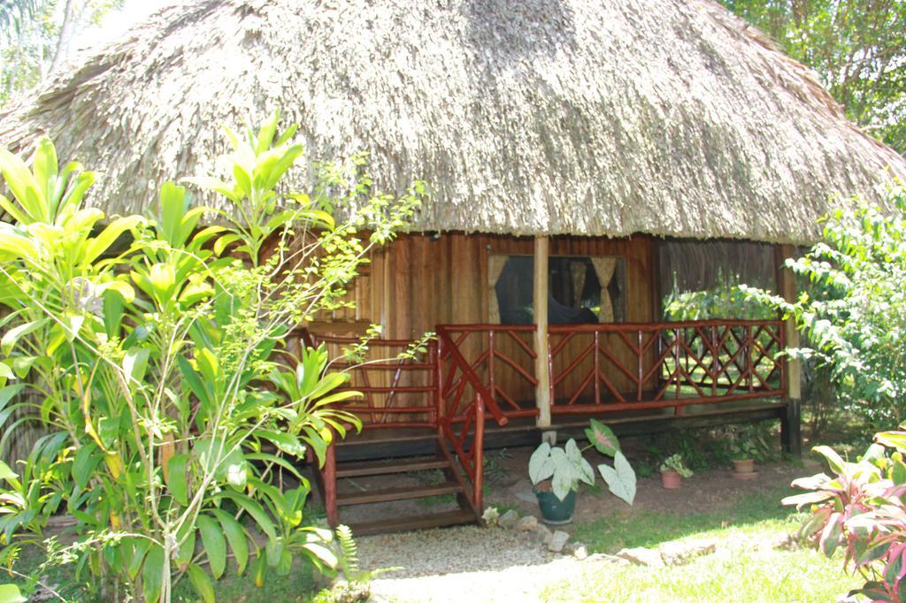 Sun Creek Lodge ปุนตากอร์ดา ภายนอก รูปภาพ
