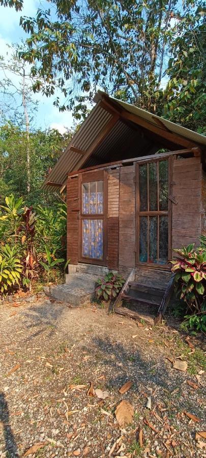 Sun Creek Lodge ปุนตากอร์ดา ภายนอก รูปภาพ