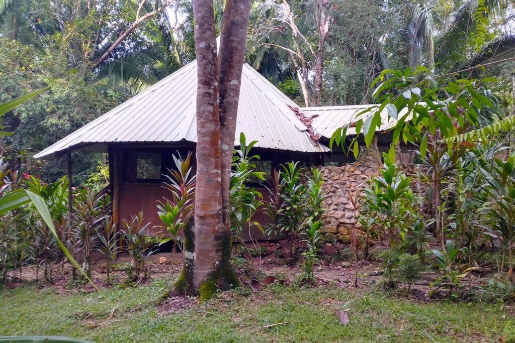 Sun Creek Lodge ปุนตากอร์ดา ภายนอก รูปภาพ