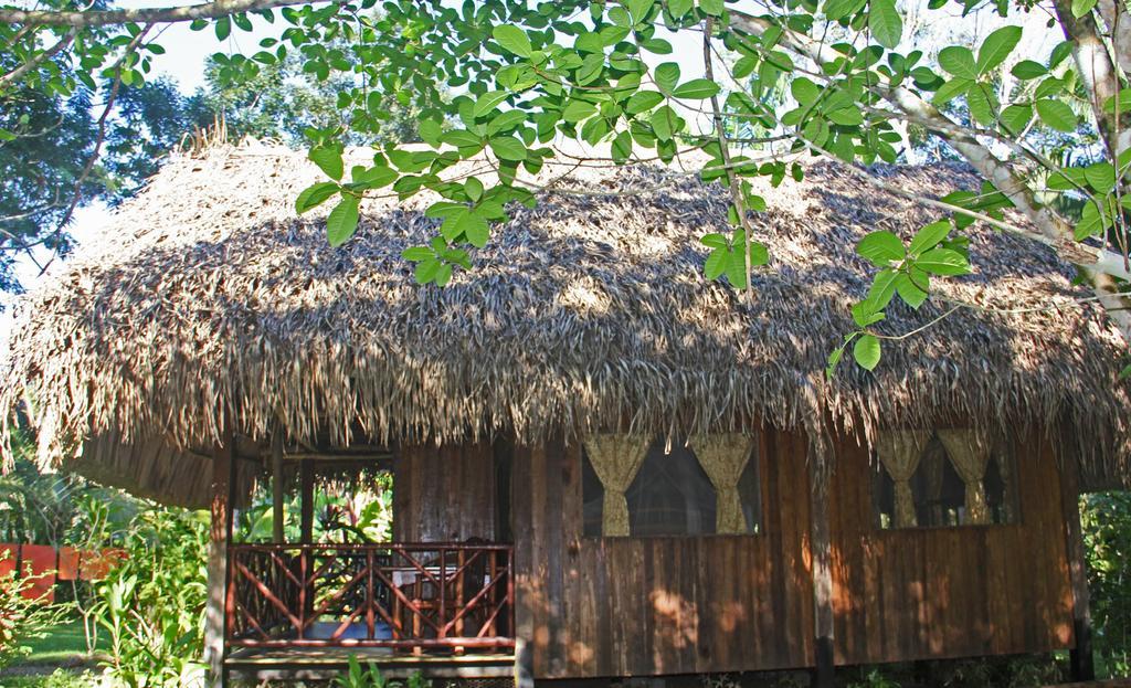 Sun Creek Lodge ปุนตากอร์ดา ห้อง รูปภาพ