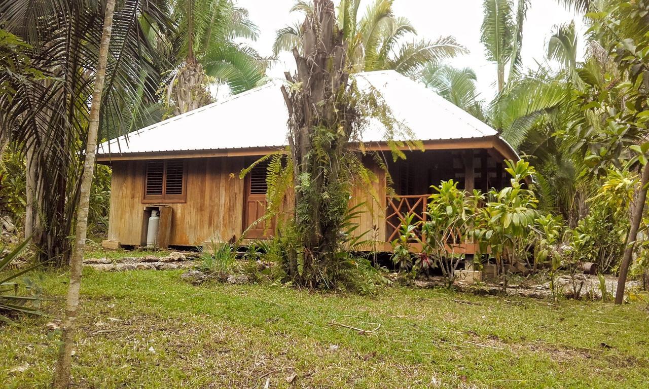 Sun Creek Lodge ปุนตากอร์ดา ภายนอก รูปภาพ